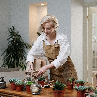 How to Care for your Indoor Succulents: A Guide for Canadian Newbies