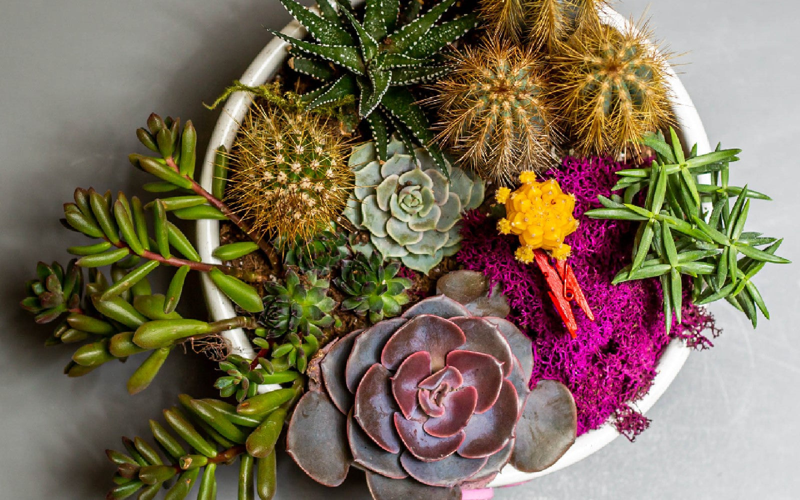 Fleur & Co.’s Guide to a Perfect Valentine’s Date Night in Calgary (Yes, Even During COVID)