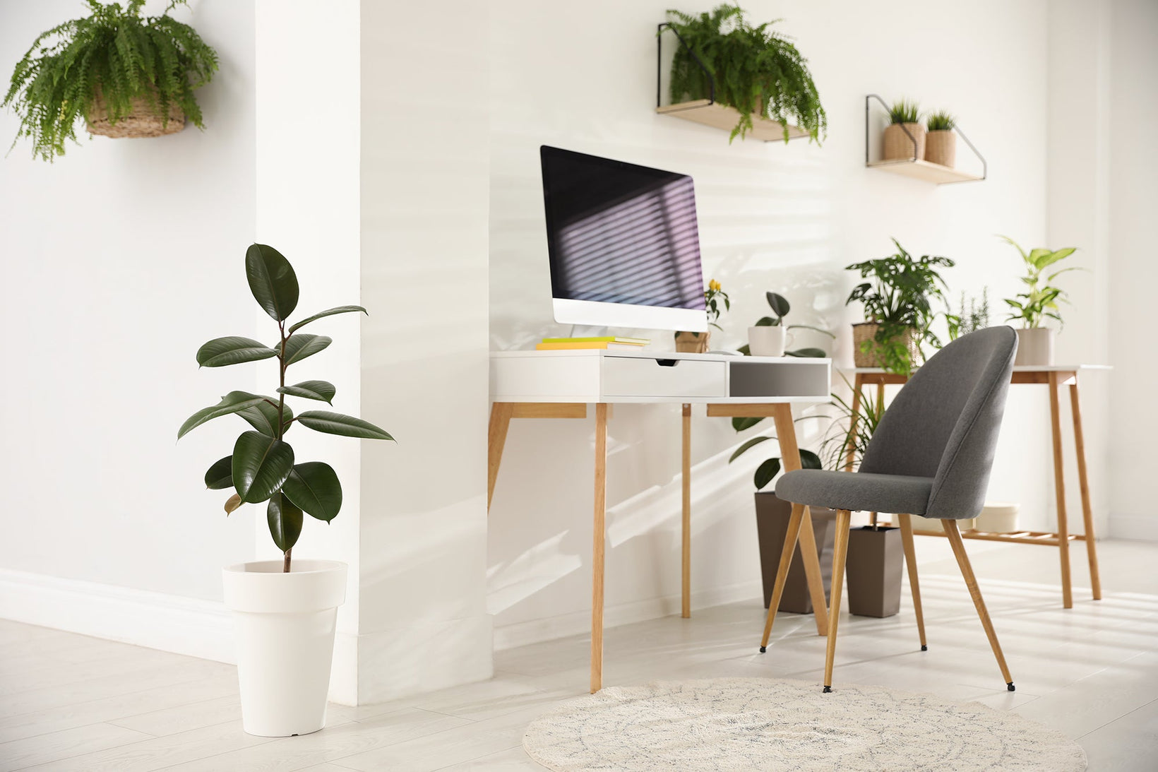 home office plant inspo