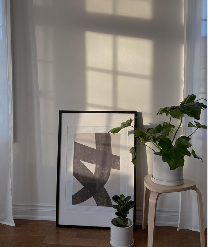 Clemences Ontario home with beautiful plants from Fleur & Co