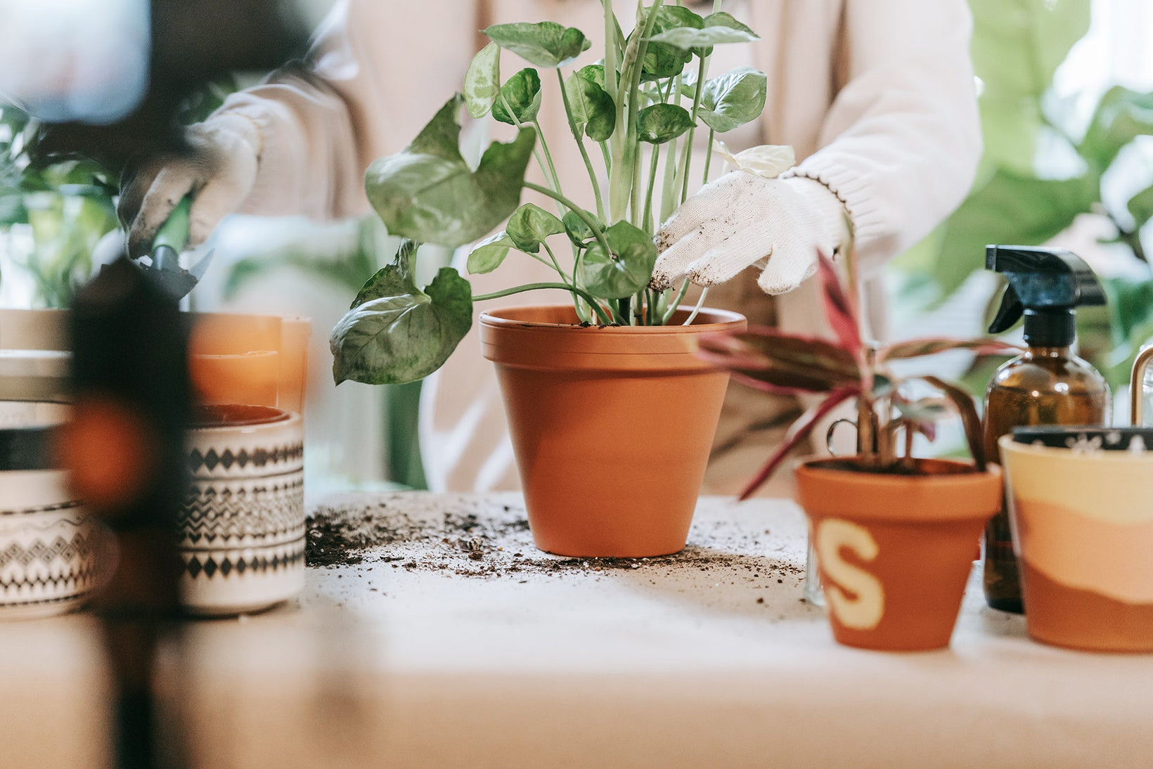 pots and planters