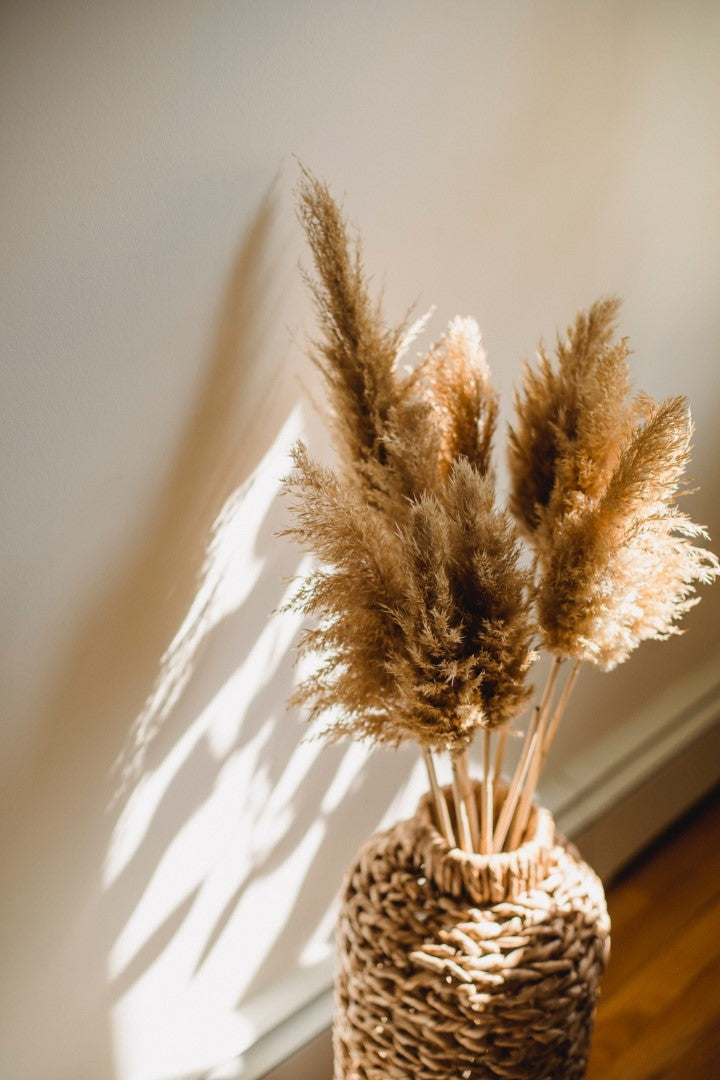 Dried Flowers & Pampas Grass