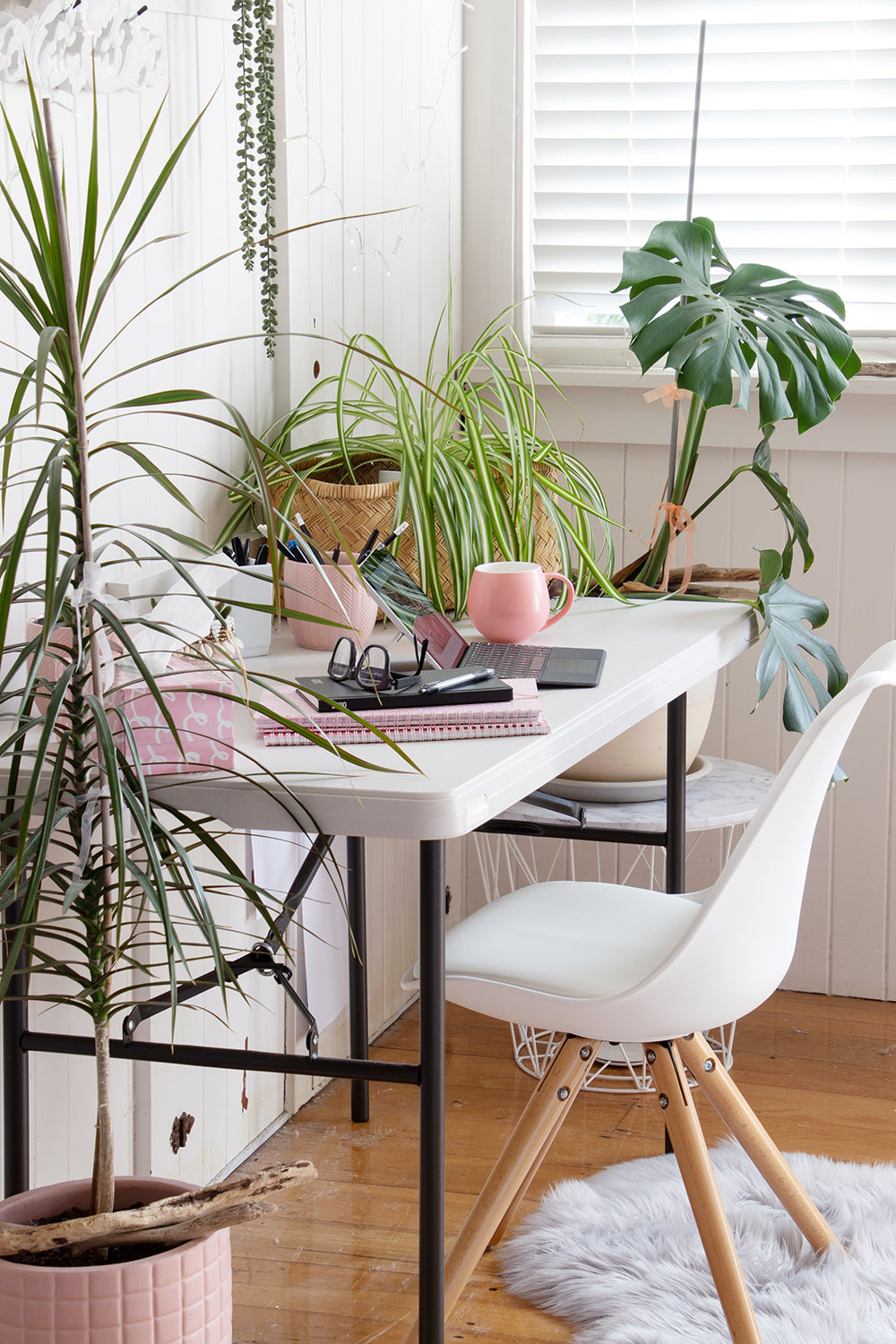 Frequently asked plant questions