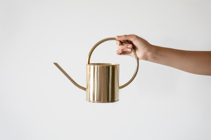 plant care tools and accessories delivery in Canada