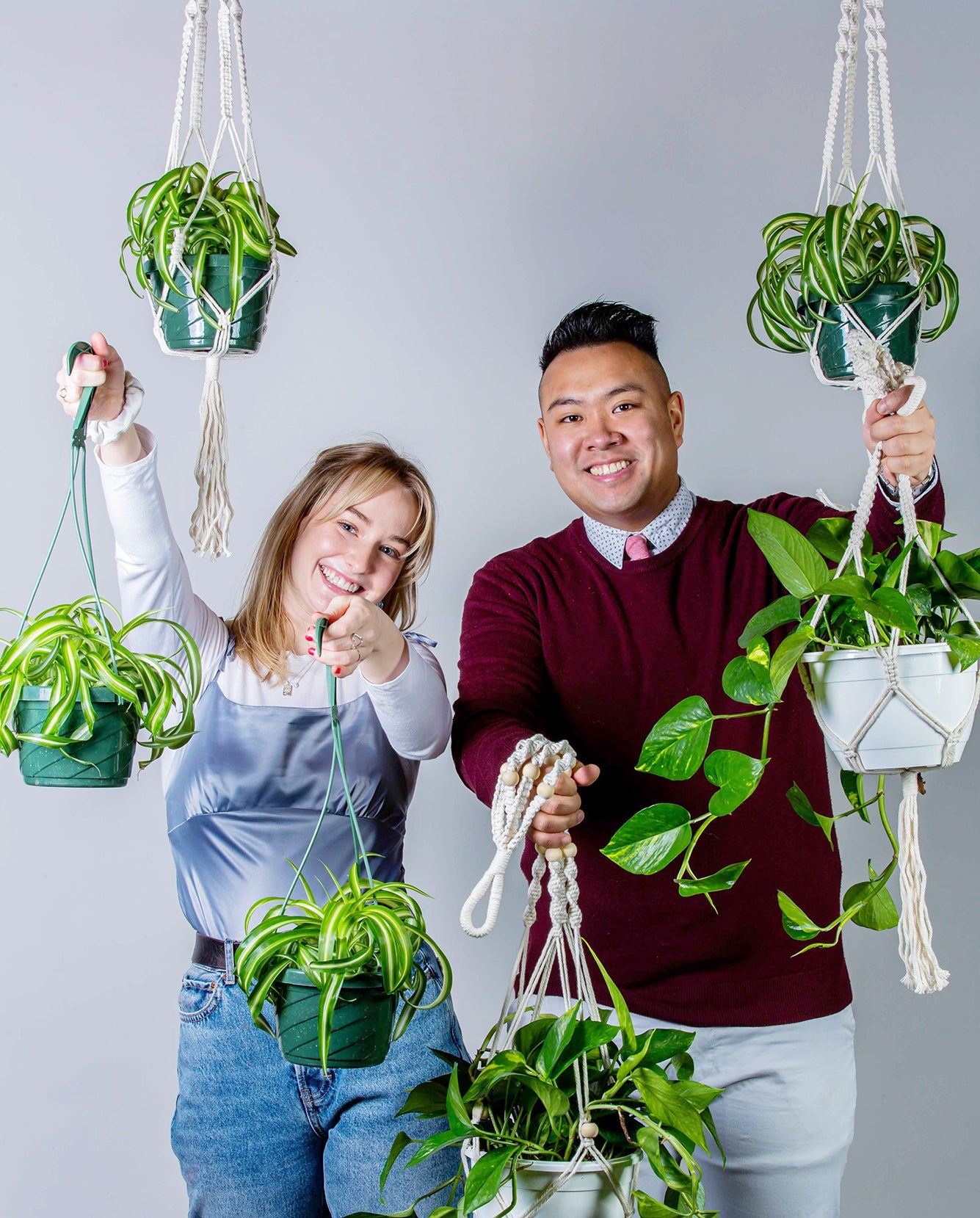 hanging plants